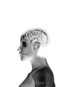 A image of a brain inside a womens head.
