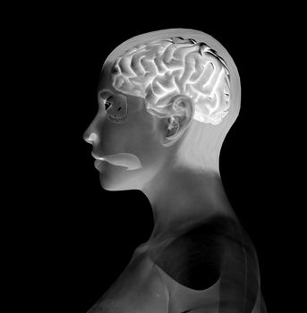 A image of a brain inside a womens head.
