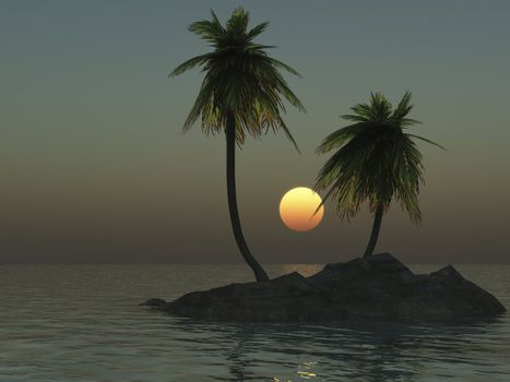 tropical desert island with palm trees