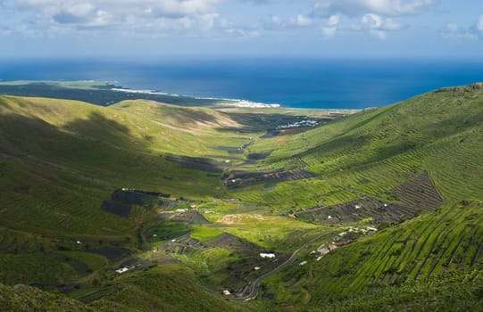 Green valley near Haria on Lanzarote Island, Spain.