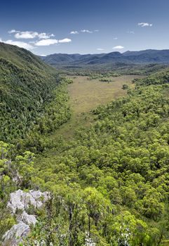 Tasmania state forest with a heart shape