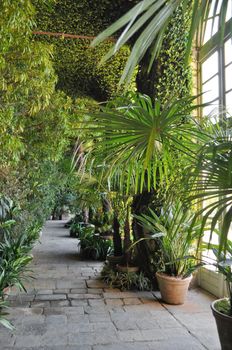A botanical garden with many species of plants and trees