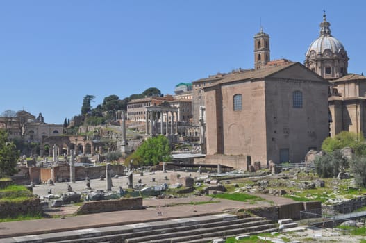 Ruins of the Roman Forum (Foro Romano) in Rome, Italy