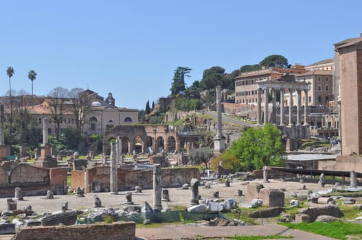 Ruins of the Roman Forum (Foro Romano) in Rome, Italy