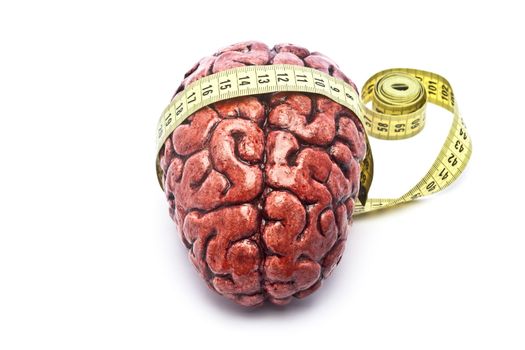 A bloody brain, on a white background, with a measuring tape around it. Check out the other images in this series.