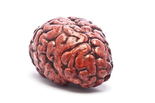 A bloody brain, on a white background. Check out the other images in this series.