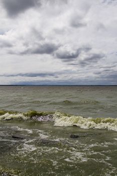 Canadian shore of lake champlain turn green due to pollution and algea