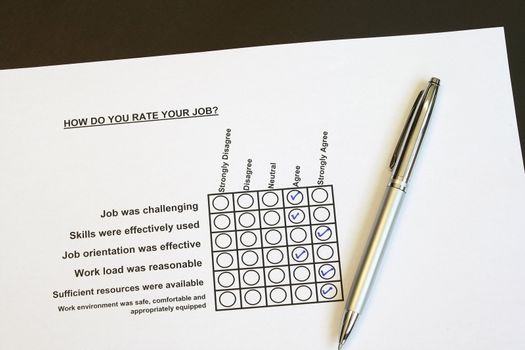 How do you rate your job survey concept