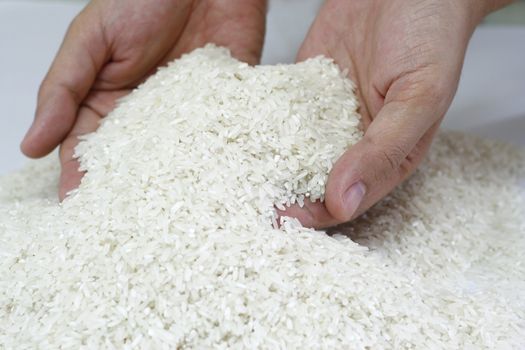 Abundant rice supply concept with hand scooping the rice