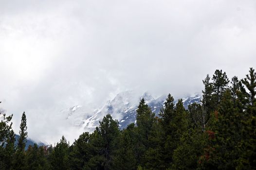 Colorado Mountains