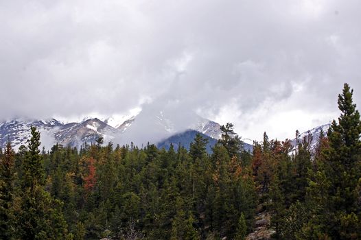 Colorado Mountains