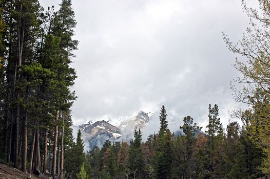 Colorado Mountains