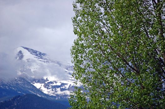 Colorado Mountains