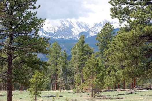 Colorado Mountains