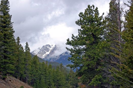 Colorado Mountains