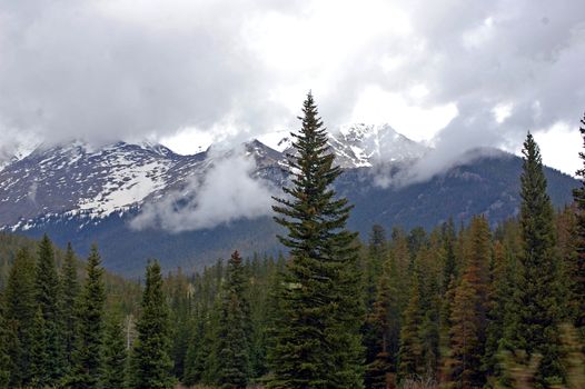 Colorado Mountains