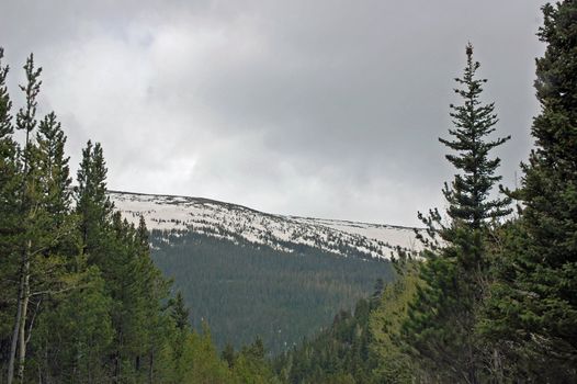 Colorado Mountains