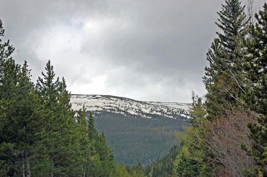 Colorado Mountains