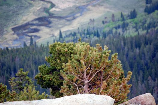 Colorado Mountains