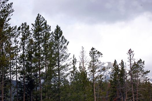 Colorado Mountains