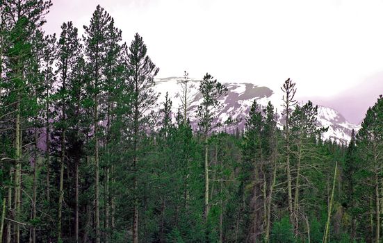 Colorado Mountains