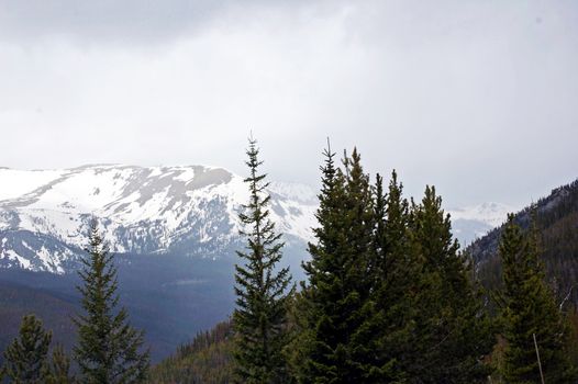 Colorado Mountains