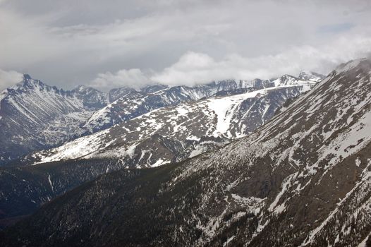 Colorado Rockies