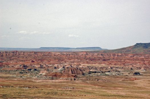 Petrified Forest Landscape - Arizona