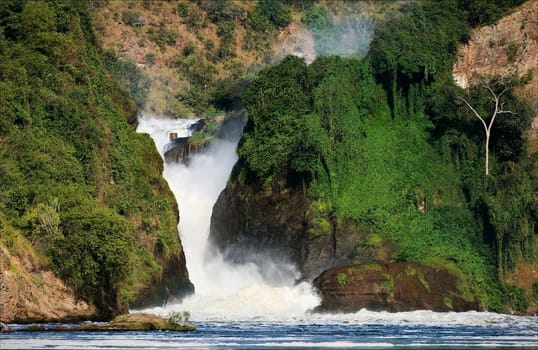 Murchison  falls roar, clamped between two rocks covered with greens.