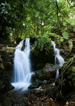 Waterfalls of  Bwindi forest. In dark green wood Bwindi the mountain small river flows, by falls being rolled on hillsides and huge boulders.