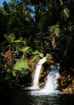 Wateralls of  Bwindi forest. In dark green wood Bwindi the mountain small river flows, by falls being rolled on hillsides and huge boulders.