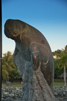 Sculpture in Airlie Beach, Queensland, Australia