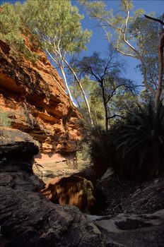 Green oasis "Garden of Edem" in Kings Canyon. Kings Canyon - the most ancient canyon on Earth 300m deep. Australia 