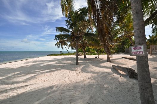 Tropical Beach