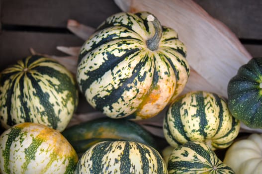 Autumn Pumpkins