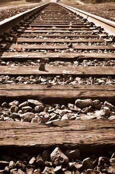 Sepia Vertical Railroad Track in Fall