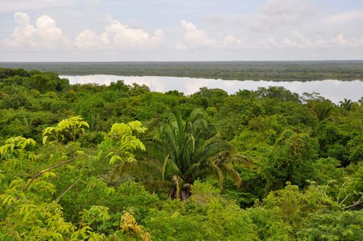 Rain Forest and Lagoon View in Costa Rica
