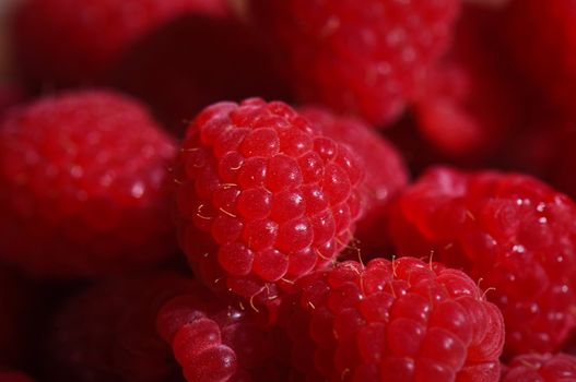 Delicious and Healthy Raspberry ready to eat as a snack