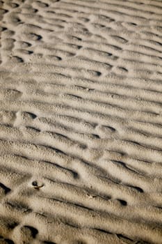 Sand ripples formed by the low tide at the beach.