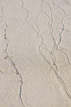 Sand ripples formed by the bathing water tide on the beach.
