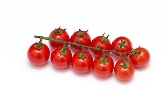 Branch a tomato on a white background.