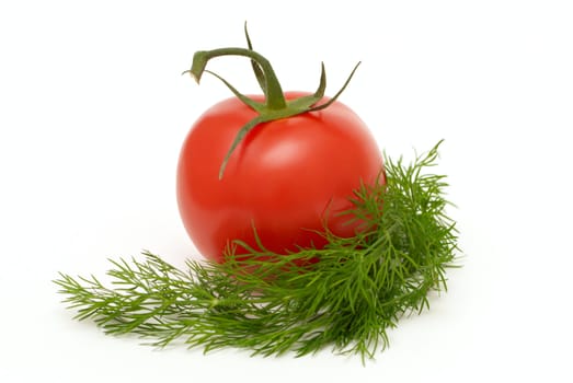 Tomato with dill on a white background