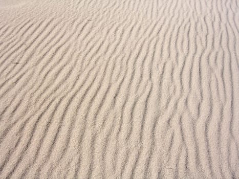 Many sand ripples on the beach shaped by the influence of the wind.