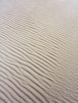 Many sand ripples on beach shaped by the influence of the wind.