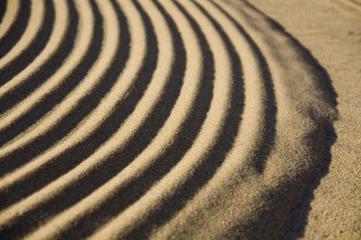 Close up view of the detail of some ripples on sand.