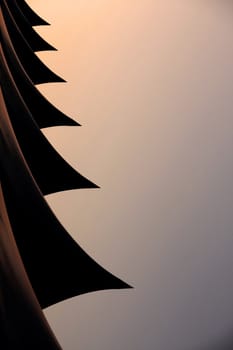 View of several aligned spikes forming an abstract design.