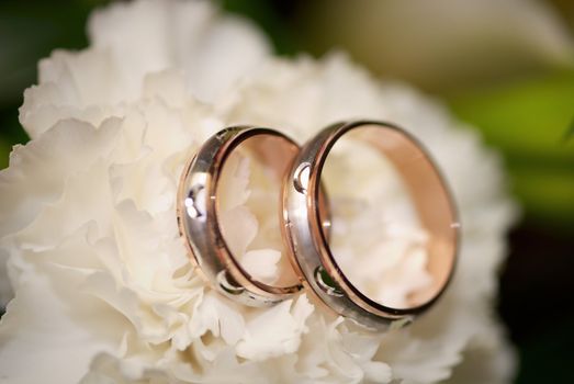 Closeup of wedding rings on white carnation