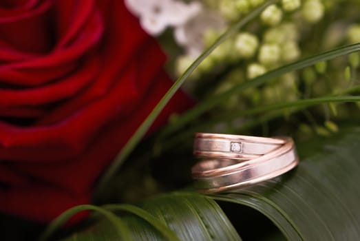 Two wedding rings perched on Wedding Bouquet