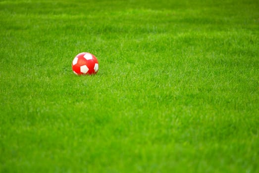 Red ball on green grass
