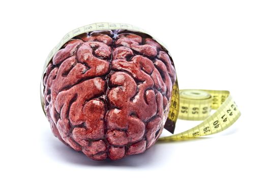 A bloody brain, on a white background, with a measuring tape around it. Check out the other images in this series.
